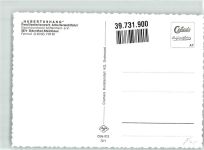 51519 W5068 Steinhaus Foto AK Pension Hubertushang
