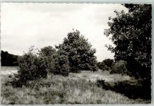 49740 W4473 Haselünne FOTO KEINE AK Ort handschrifltich Foto Original aus Archiv eines Ansichtskartenverlags