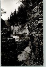 79879 W7821 Wutach Foto AK Wutachschlucht