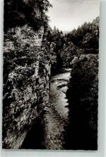 79879 W7821 Wutach Foto AK Wutachschlucht