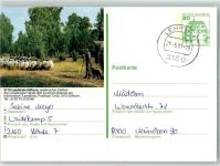 38518 W3170 Gifhorn 1981 Ganzsache