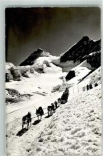 Polarhunde Jungfrau Joch Hundeschlitten Foto AK