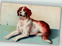 Großer Hund 1914 Künstlerkarte