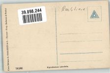 Raubkatzen im Zoo Verlag NPG 7597-9 Tiger Foto AK
