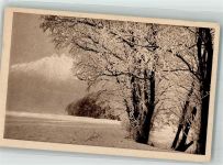 Nr. 13 Rauhreif Winterlandschaft Elchlepp
