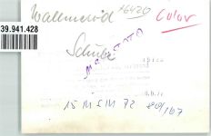 36341 W6420 Wallenrod FOTO KEINE AK Schule Ort handschriftlich Foto Original aus Archiv eines Ansichtskartenverlags