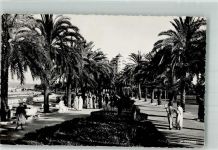 Tanger Tangiers 1953 Foto AK Avenida de Espana