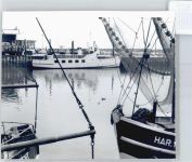 26409 W2944 Carolinensiel , Ostfriesl - Fotoabzug