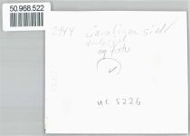 26409 W2944 Carolinensiel , Ostfriesl - Fotoabzug