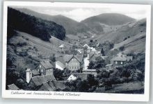 37520 W3360 Lerbach , Harz - Teilansicht