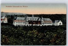 54516 W5560 Wittlich - Sanatorium Grünewald