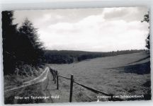 49176 W4517 Hilter am Teutoburger Wald - Waldweg zum Schoppenbusch
