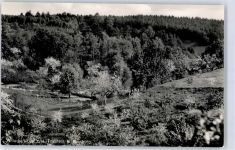 38315 W3342 Hornburg , Kr Wolfenbüttel - Fallstein