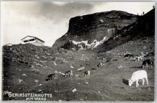 6280 Zell am Ziller - Gerlossteinhütte mit Wand Kühe
