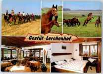 72525 W7420 Münsingen , Württ - Gestüt Lerchenhof Reitschule Pension