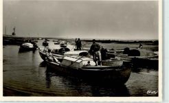 33470 Gujan-Mestras - Arrivee de peche