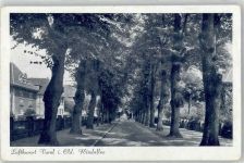26316 W2930 Varel , Jadebusen - Windalle