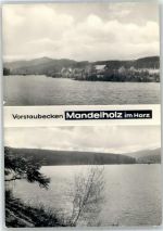 38875 O3701 Elend - Vorstaubecken Madelholz Harz