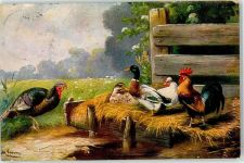 Hahn Ente Schönian, A. 1912 Künstlerkarte