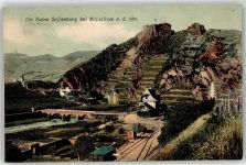 53508 W5481 Mayschoß - Ruine Saffenburg