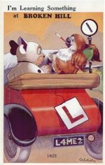 Broken Hill - Broken Hill (Australien) Leporello Auto, Hunde, signiert I-II (Stauchung, Klebereste RS)