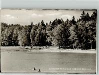 37445 W3425 Walkenried Foto AK Priorteich