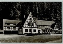32756 W4930 Berlebeck Foto AK Hotel Hirschsprung