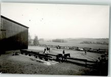 36399 W6494 Nieder-Moos - Foto Reitstall Original aus Archiv eines Ansichtskartenverlages