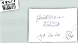 67307 W6719 Göllheim FOTO KEINE AK Schule Ort handschriftlich Foto Original aus Archiv eines Ansichtskartenverlages