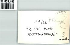 79761 W7890 Tiengen , Hochrhein FOTO KEINE AK Stadthalle Ort handschriftlich Foto Original aus Archiv eines Ansichtskartenverlages