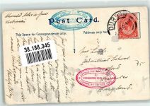 Durban 1910 Foto AK Blumen Aloe