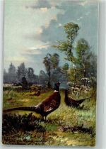Fasane auf einer Wiese T.S.N. Serie 640 Schönian, A. 1906 Künstlerkarte