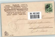 Rosen No. 892 Edgar Schmidt, Dresden 1904