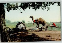 Karatschi Foto AK Persien Wheel Driven by a Camel