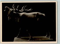 Nr. 7837 Prof. Fritz Behn "Brunfthirsch" Skulptur Wiener Künstlerhaus WK II Foto AK