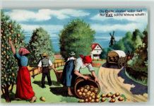 Kali - Landwirtschaft Quitten-Ernte Düngerwerbung Künstlerkarte