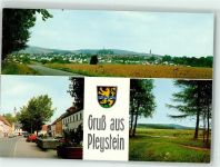 92714 W8481 Pleystein - Wappen