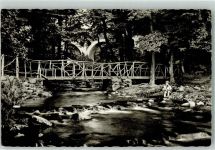 56470 W5439 Bad Marienberg Westerwald - Nistertal Holzbrücke
