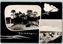17449 O2222 Karlshagen Foto AK Möwe Strand