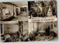 17373 O2120 Ueckermünde - Tierpark Vivarium