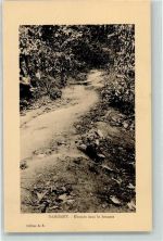 Chemin dans la brouzse