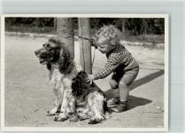 Kind Spaniel FOTO KEINE AK