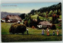 Heuernte Tracht Schwarzwald Gebrauchsspuren