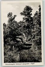 01773 O8231 Zinnwald-Georgenfeld - Hochmoor