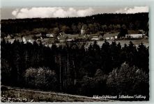 37603 W3450 Silberborn Foto AK