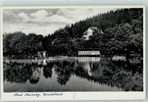 Bad Reinerz Duszniki Zdroj - Gondelteich