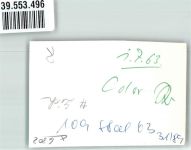 35423 W6302 Lich , Hess Privatfoto KEINE AK Schwimmbad See Ruderboot Bademode Kinder Ort handschriftlich