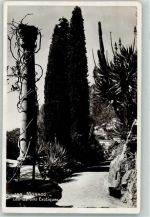 Monaco Foto AK Botanischer Garten