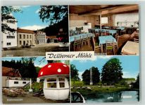 66679 W6646 Wahlen , Saar Werbe AK Hotel Pension Dellborner Mühle Fischteich