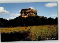 Sigiriya Rock Foto AK Der Sigiriya Felsen Monolith Kühe